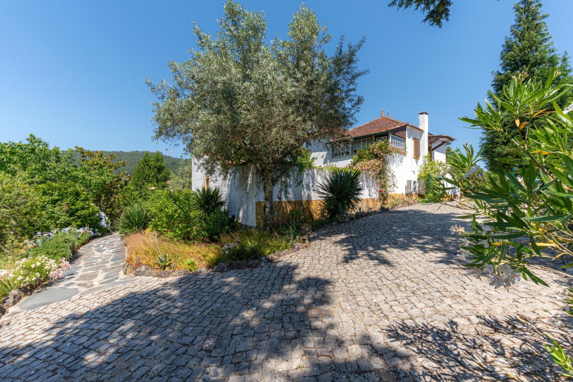Atlantic Nest Poiares Villa Vila Nova de Poiares Exterior photo